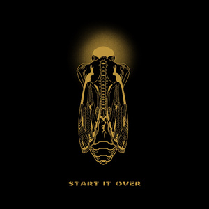 张柏芝肏逼视频导航
