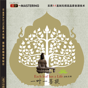 张柏芝肏逼视频导航
